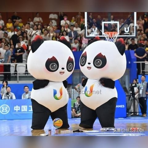 数据科学&CS跨界突破：京都东大合格秘籍，解锁创新之门